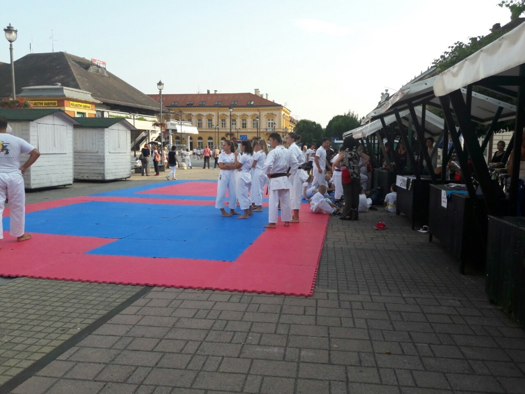 14231826_1225615280834637_8935150037829834566_o