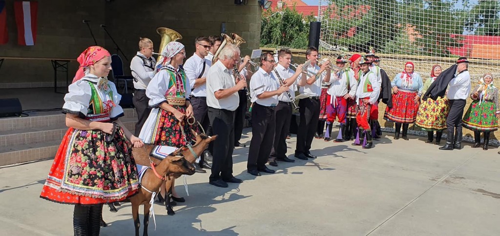 69321963_2622899147772903_8513057323101454336_o