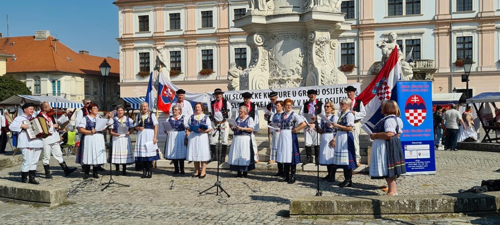 119225411_3530444620351680_4120027649744361323_o