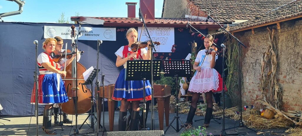 241828242_4590378551024943_1725578277706110761_n