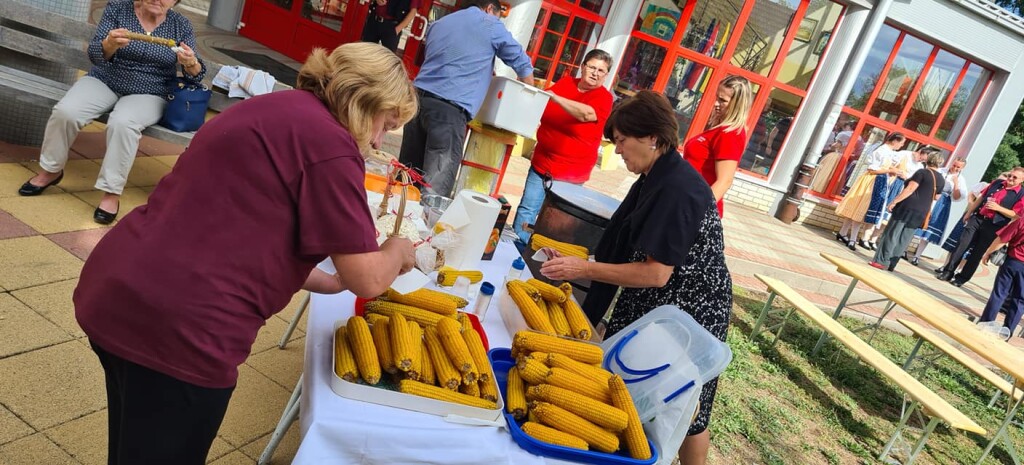 242225344_4609319425797522_4272504451682969535_n