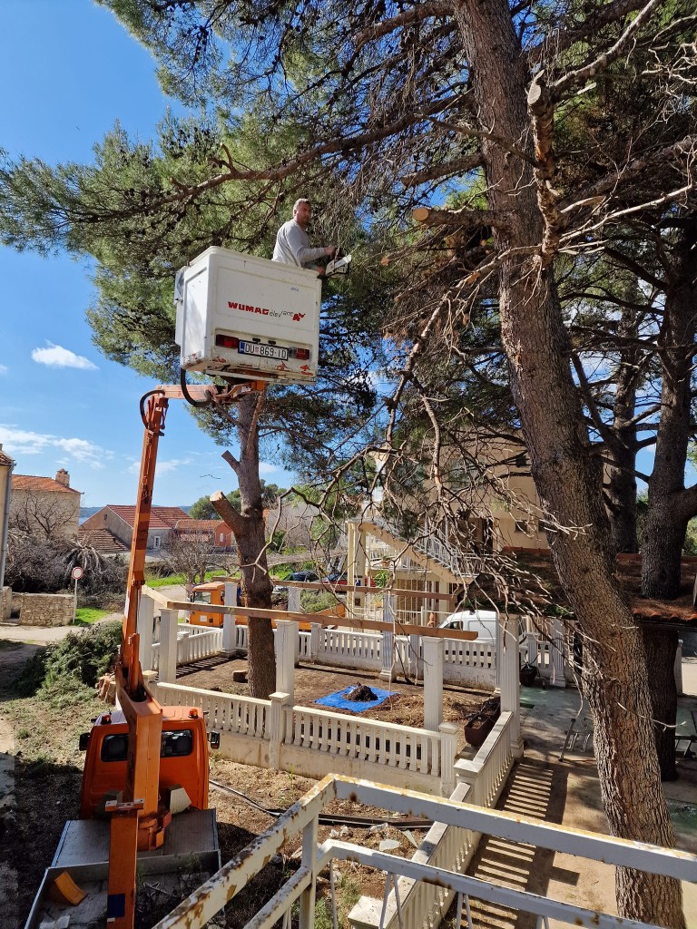 333560747_3348429432141265_999543338453972517_n