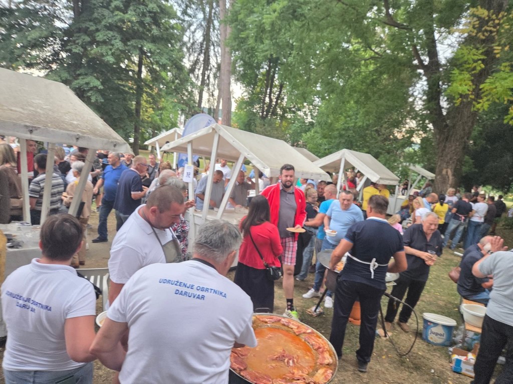 537709530_24678941511742017_1654092974593440262_n